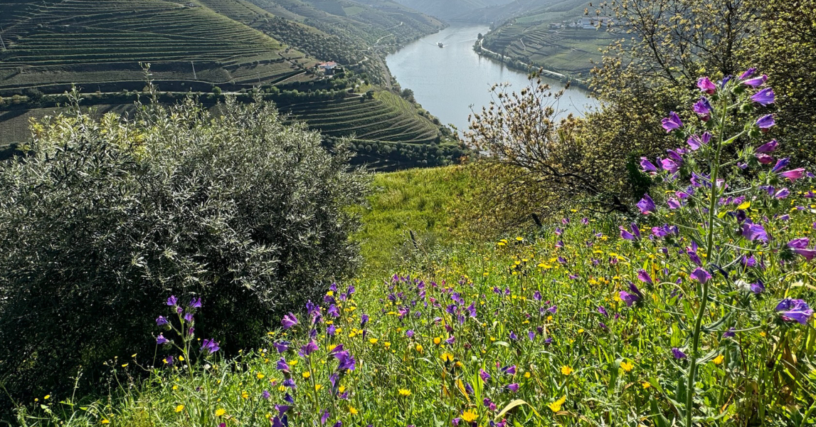 CESTOVATELSKÝ VEČER – PORTUGALSKO