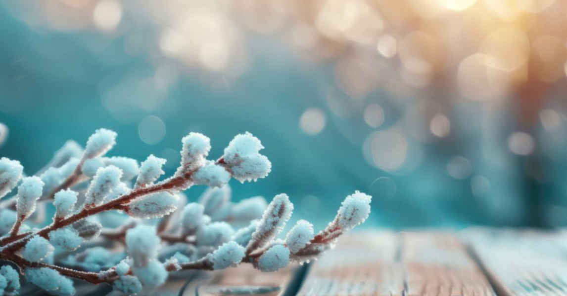 NOVOROČNÍ PŘÁNÍ