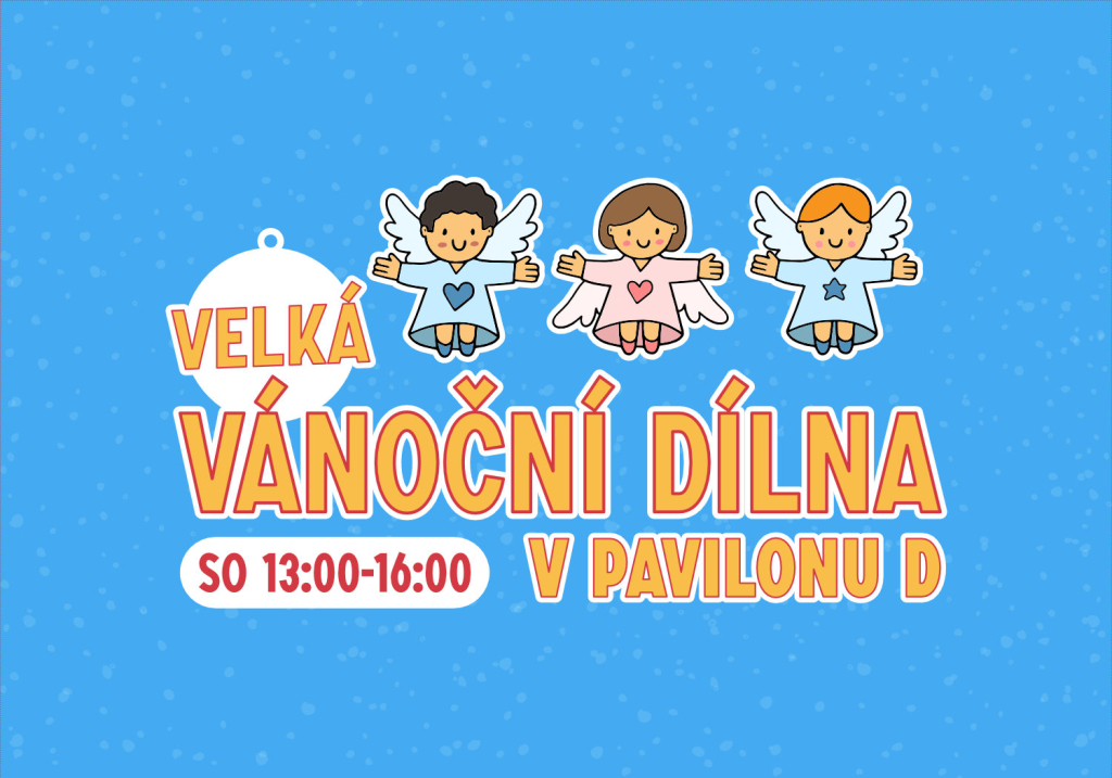 Velká vánoční dílna v Pavilonu D 22.11. odpo.