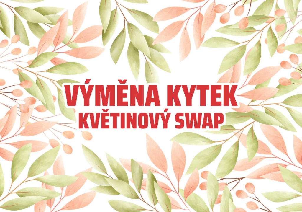 Novinka | Kytku za kytku!