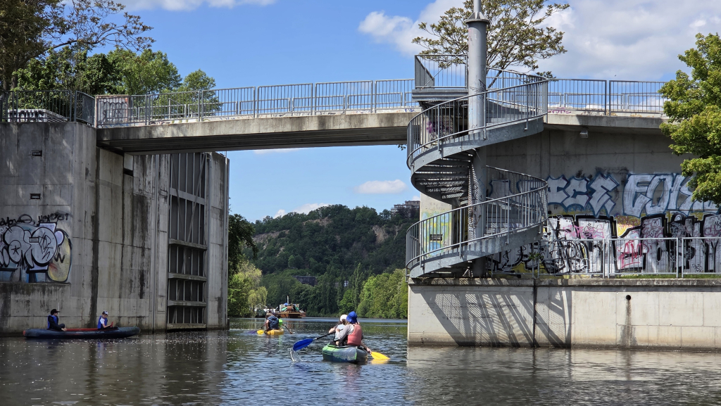 56.jpg
