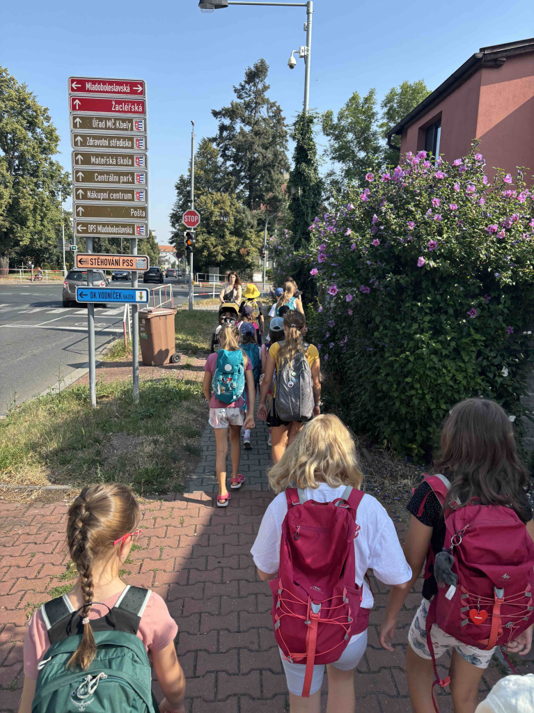 IMG_7918.jpeg