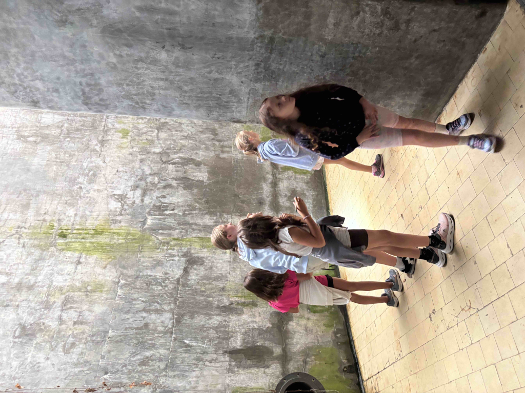 IMG_8026.jpeg