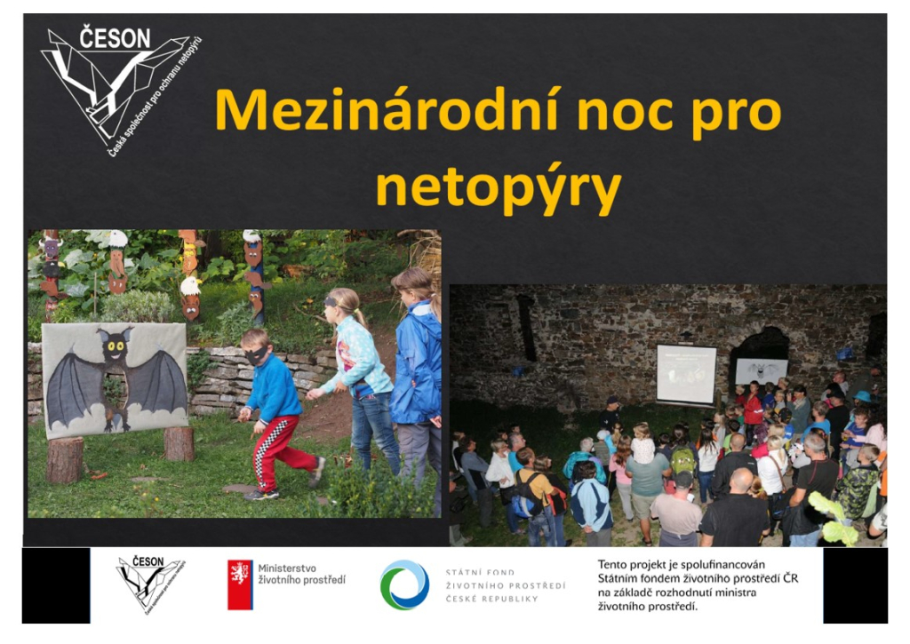 05.jpg