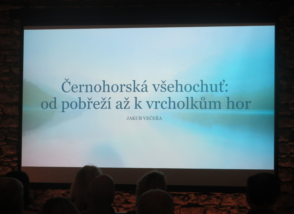 02.JPG
