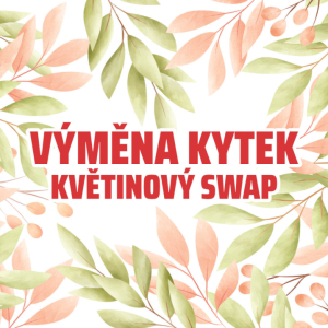 Novinka | Kytku za kytku!