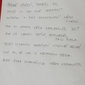 080.JPG
