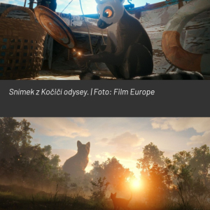 156.jpg