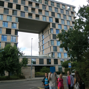 205.JPG