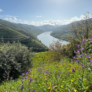 Cestovatelský večer - Portugalsko