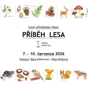 LPT Příběh lesa