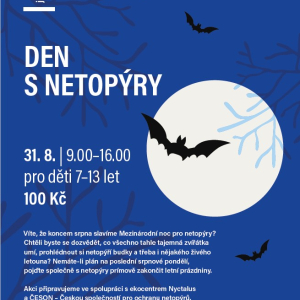 Den s netopýry
